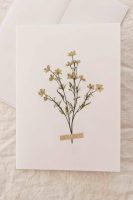 Dried Flower Card